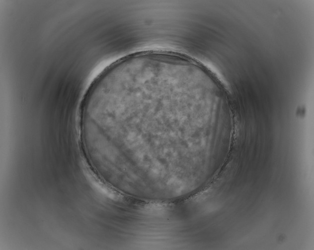 X0000091961078200709271341