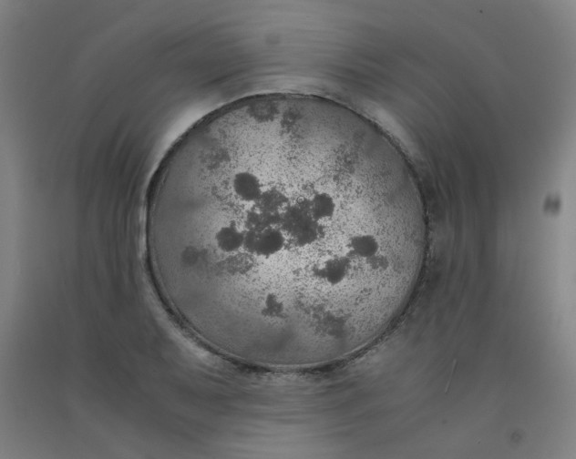 X0000091961079200709271341