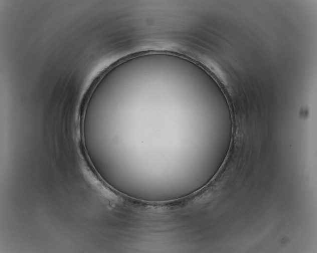 X0000091961080200709271341