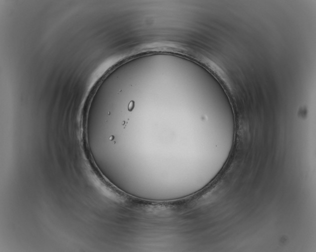 X0000091961082200709271341