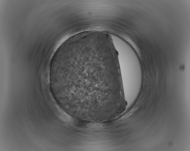 X0000091961083200709271341