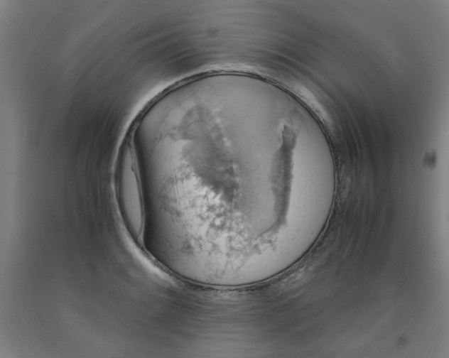 X0000091961084200709271341