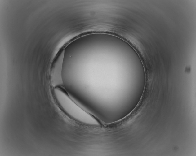 X0000091961085200709271341