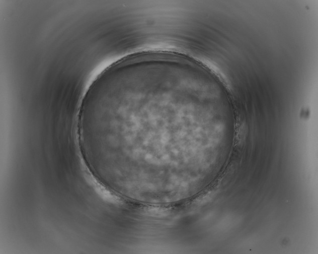 X0000091961086200709271341