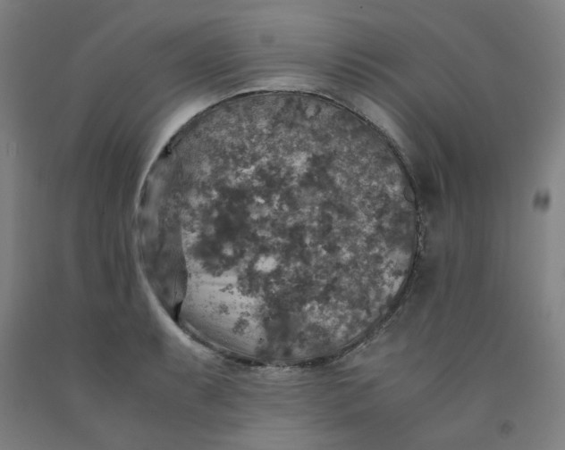 X0000091961087200709271341