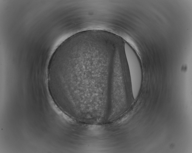 X0000091961088200709271341