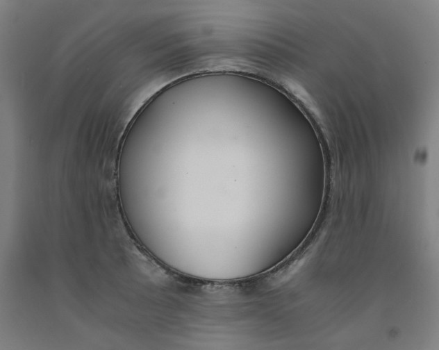 X0000091961089200709271341