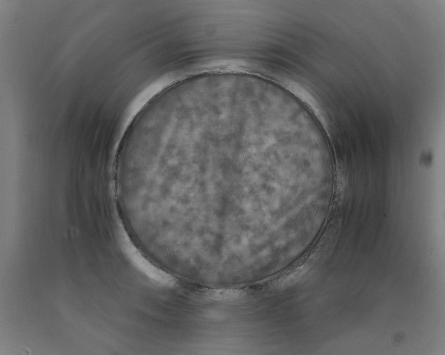 X0000091961090200709271341