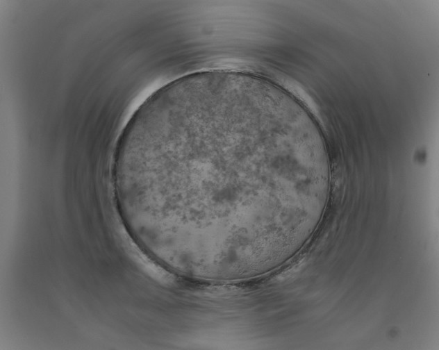 X0000091961091200709271341