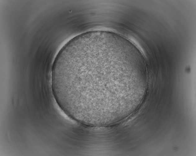 X0000091961092200709271341