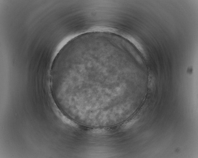 X0000091961094200709271341