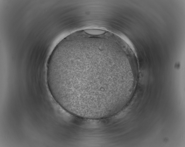 X0000091961096200709271341