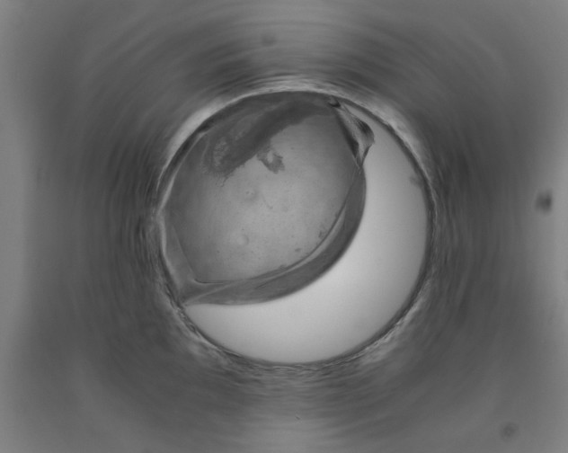 X0000091961097200709271341