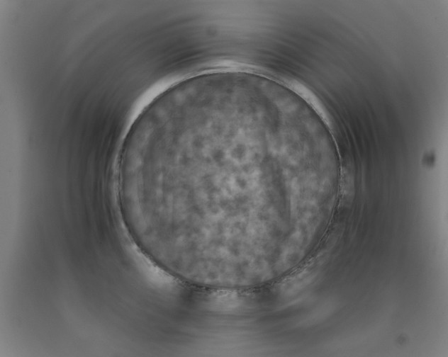 X0000091961098200709271341