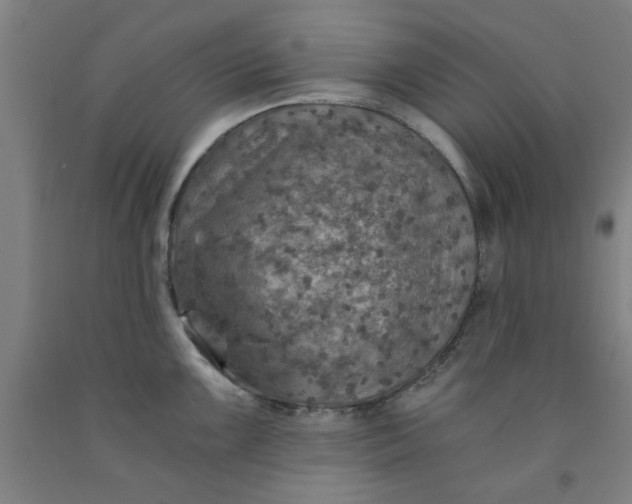 X0000091961099200709271341