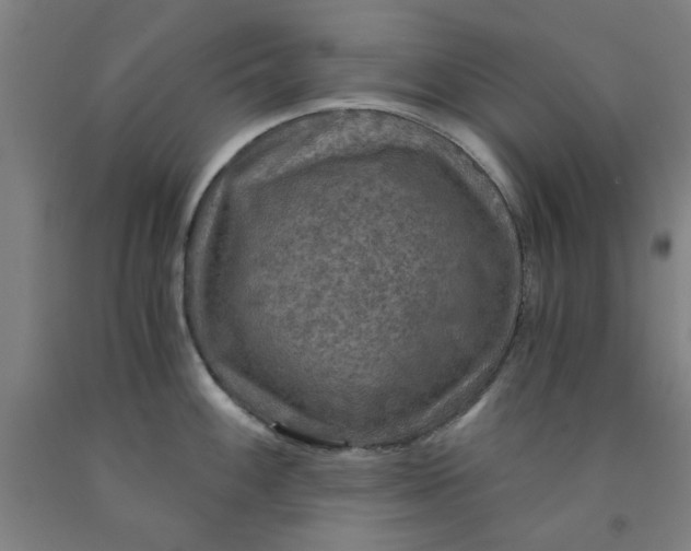 X0000091961100200709271341