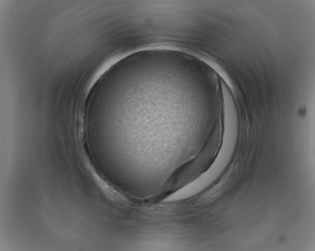 X0000091961101200709271341