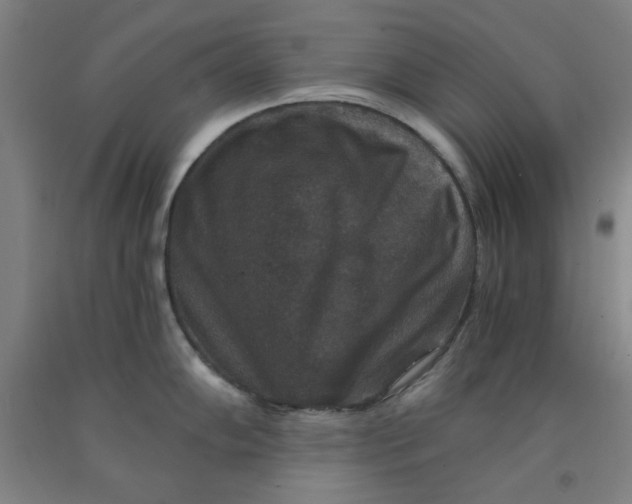 X0000091961102200709271341