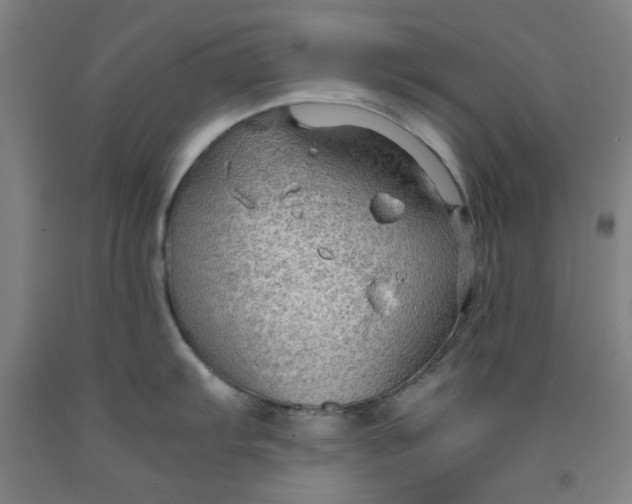 X0000091961103200709271341