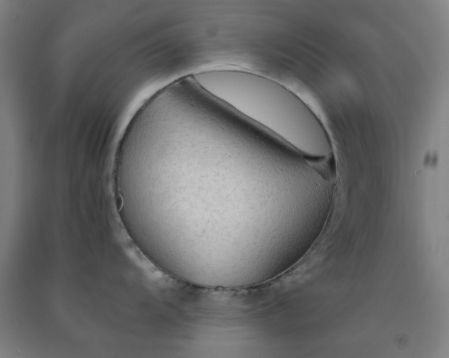 X0000091961104200709271341