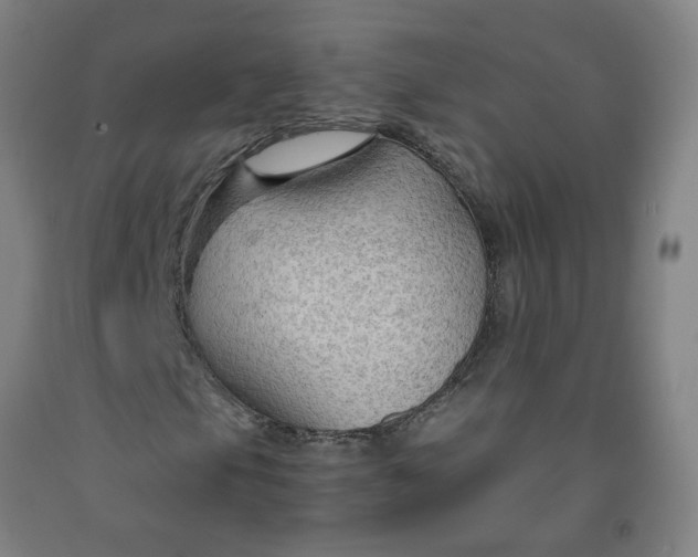 X0000091961105200709271340