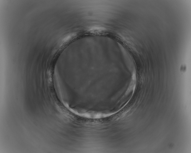 X0000091961106200709271340