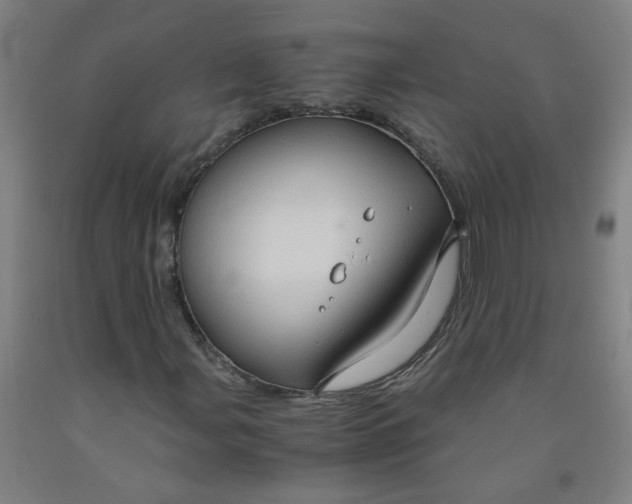 X0000091961107200709271340