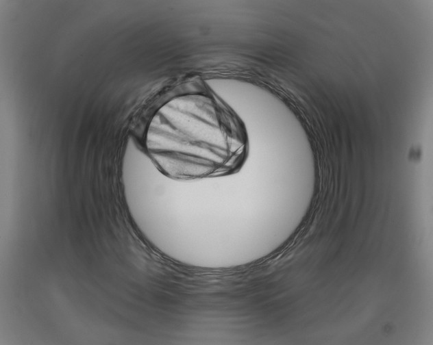 X0000091961108200709271340