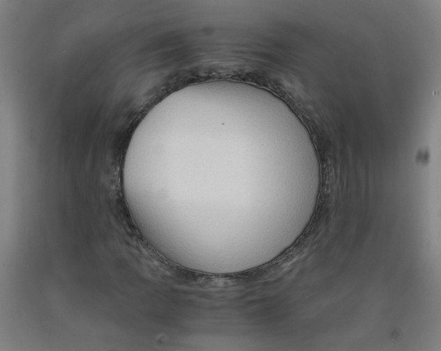 X0000091961109200709271340