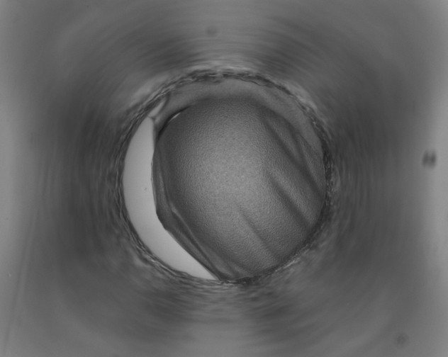 X0000091961110200709271340