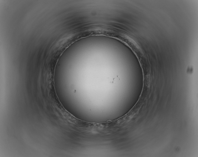 X0000091961111200709271340