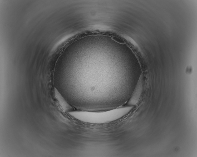 X0000091961112200709271340