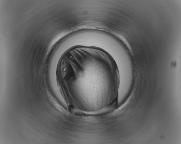 X0000091961114200709271340