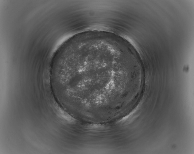 X0000091961115200709271340