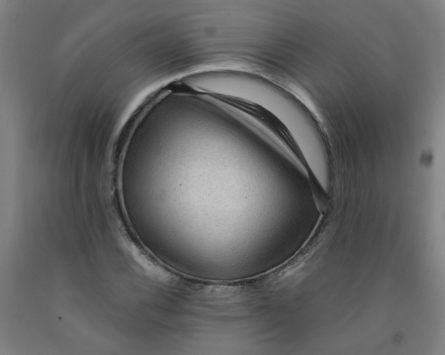 X0000091961116200709271340