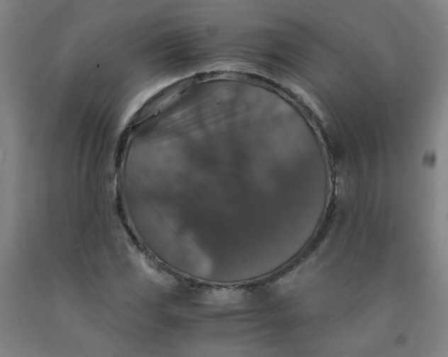 X0000091961117200709271340