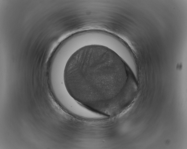 X0000091961118200709271340