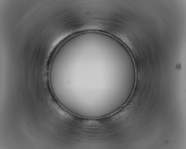 X0000091961119200709271340