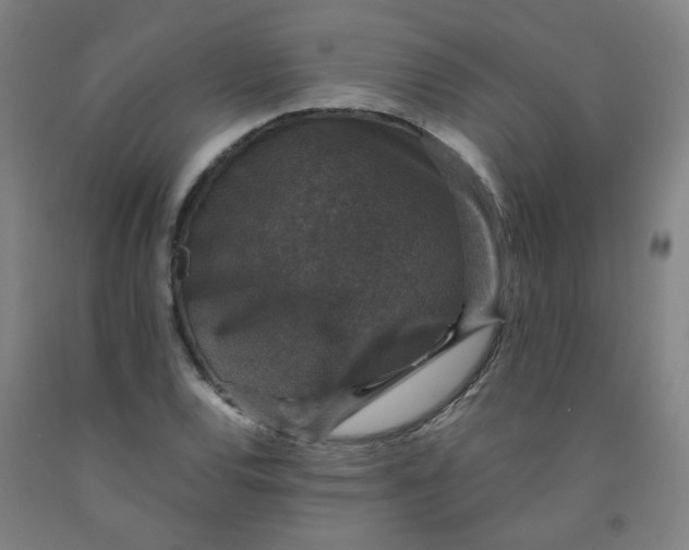 X0000091961120200709271340