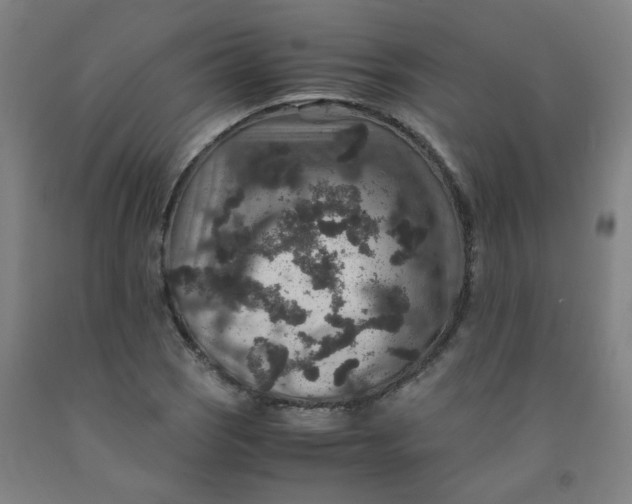 X0000091961121200709271340