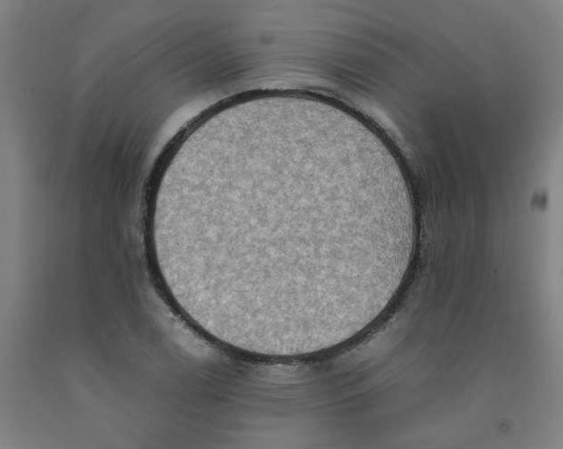 X0000091961122200709271340