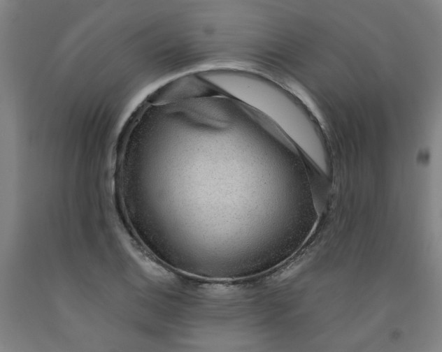 X0000091961124200709271340