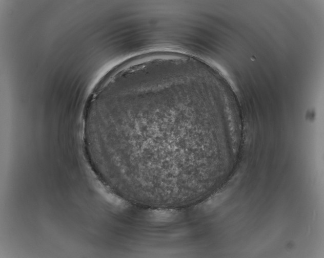 X0000091961125200709271340