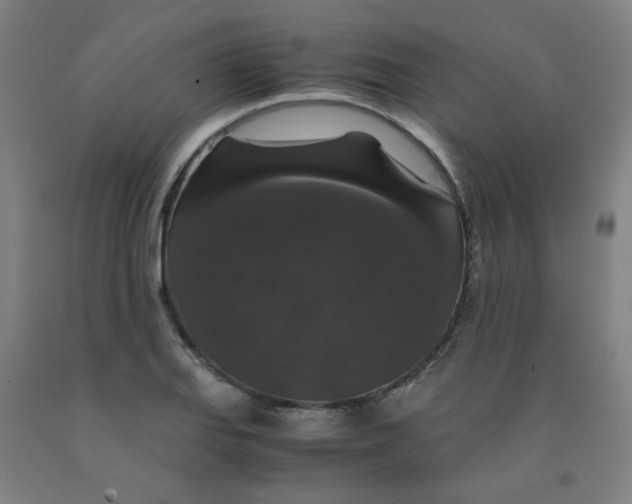 X0000091961127200709271340