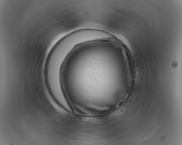 X0000091961128200709271340