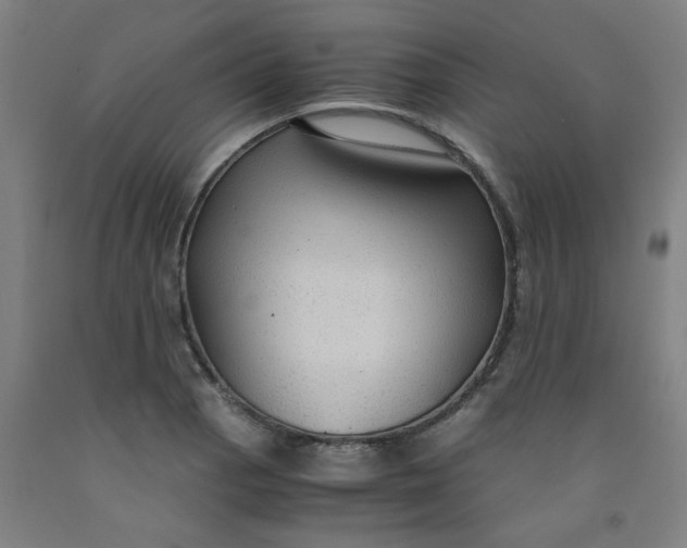 X0000091961129200709271340