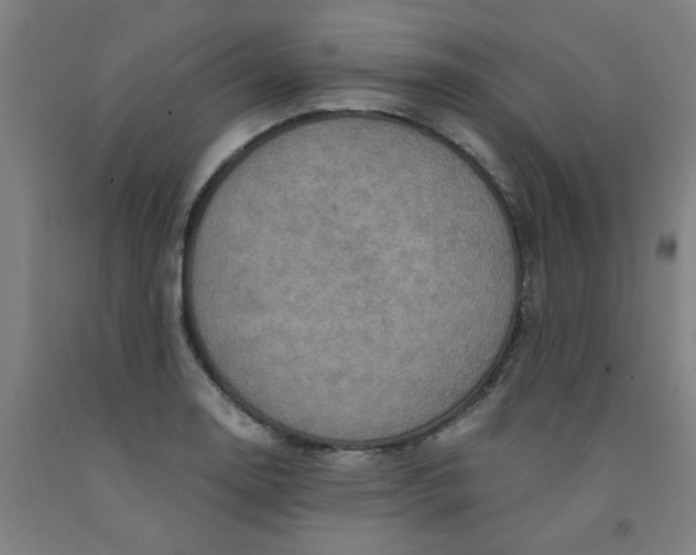 X0000091961130200709271340