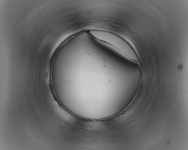 X0000091961131200709271340