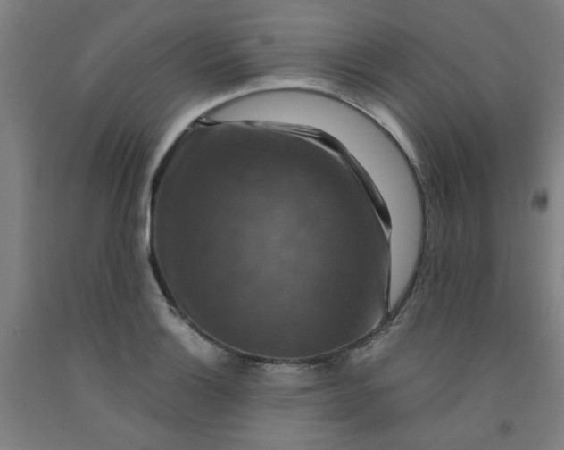 X0000091961132200709271341