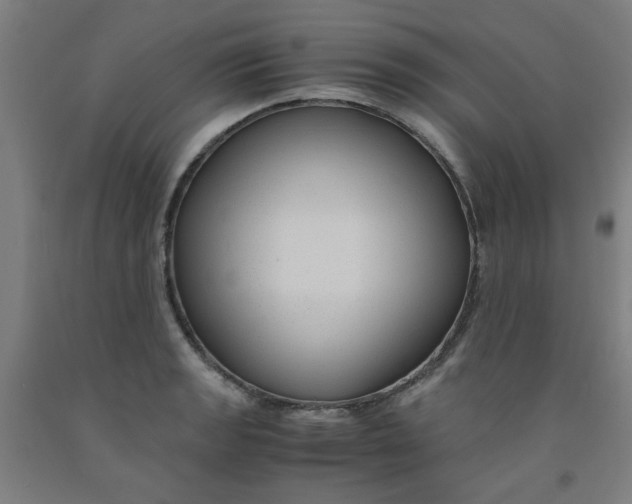 X0000091961133200709271341